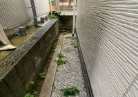 20231215104904